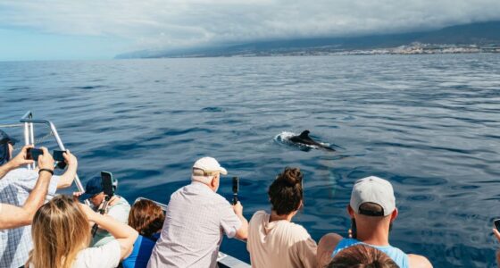 Whale Watching in Los Cristianos - Eco-Friendly Yacht Tour