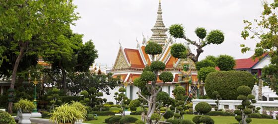 Discover the best things to do in Bangkok, a vibrant city blending history, culture, and modernity. From exploring historical wonders