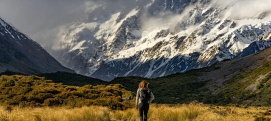 Hiking Trails in New Zealand 