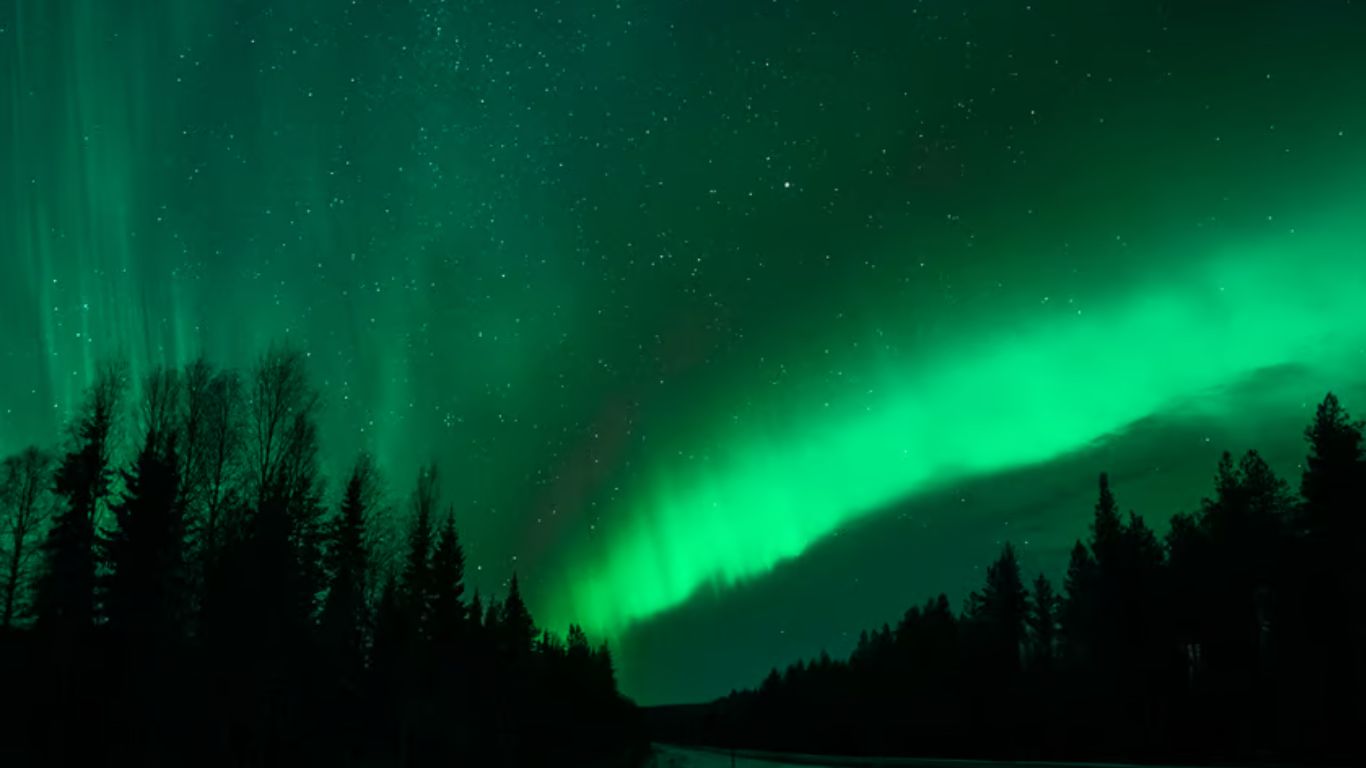 Northern Lights in Rovaniemi, Finland, with snow-covered trees and Arctic landscapes in the background