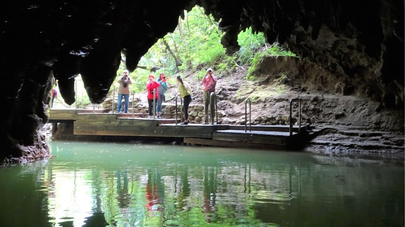 Waitomo: Glowworm Caves Guided Tour by Boat