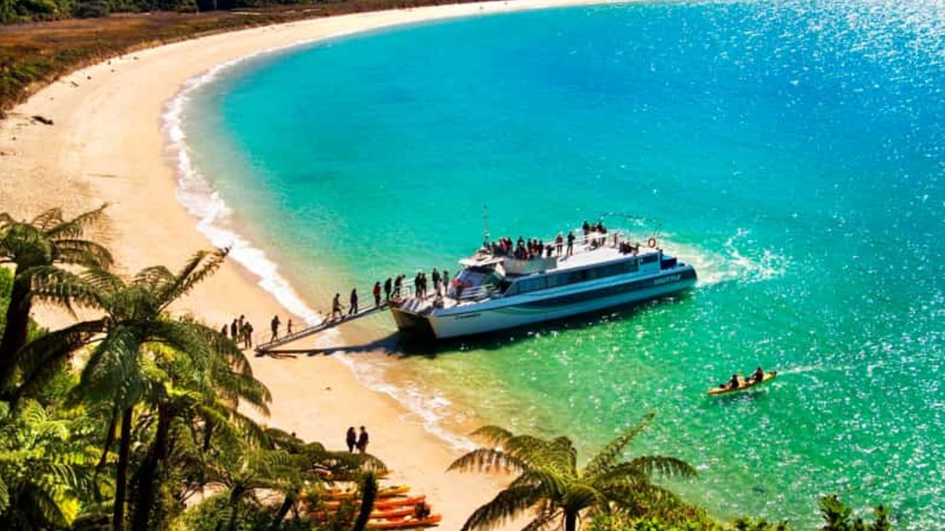 abel tasman national park cruise and walking tour combo